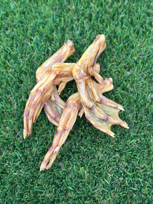 Duck Feet