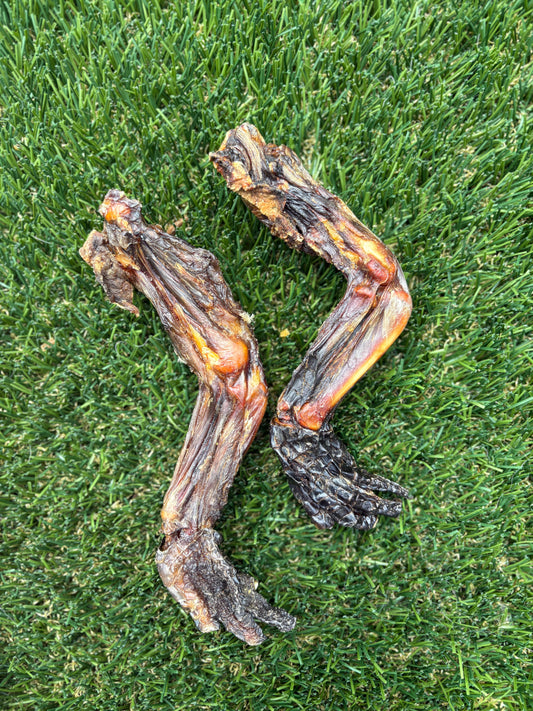 Crocodile Leg