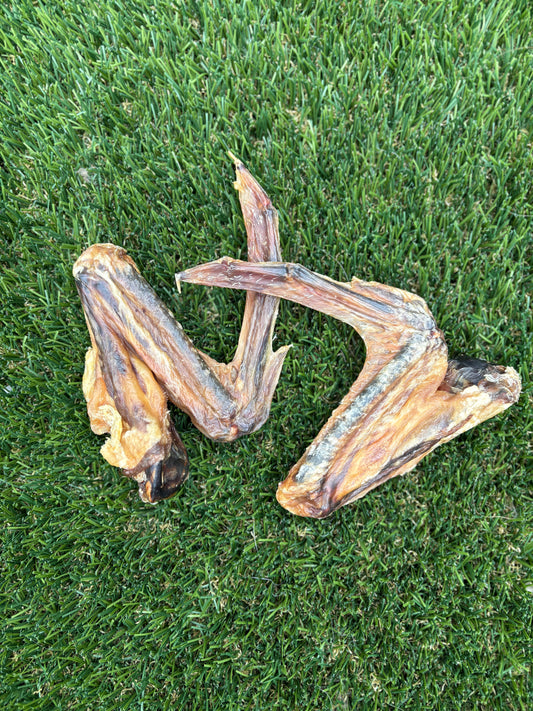 Duck Wing