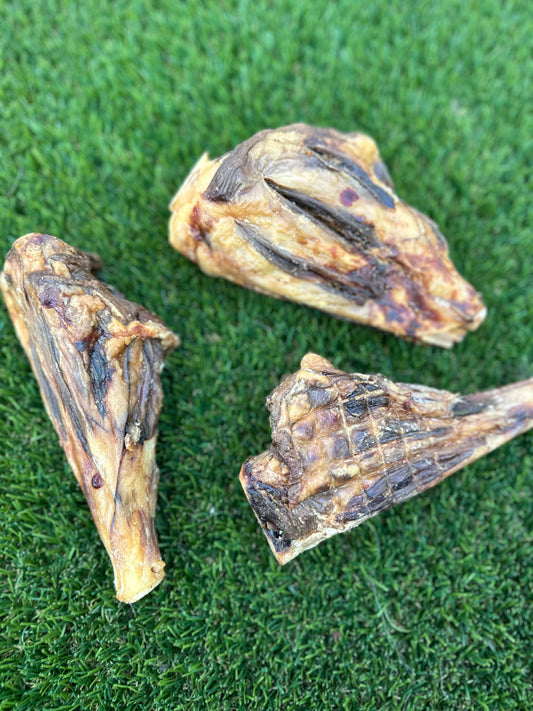 Boar shank