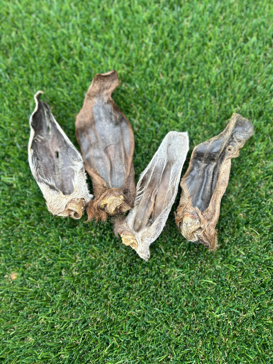 Goat Ear