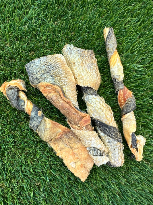Salmon Skin