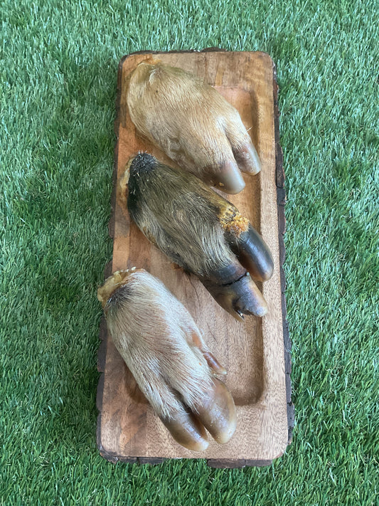 Boar Trotter with Fur