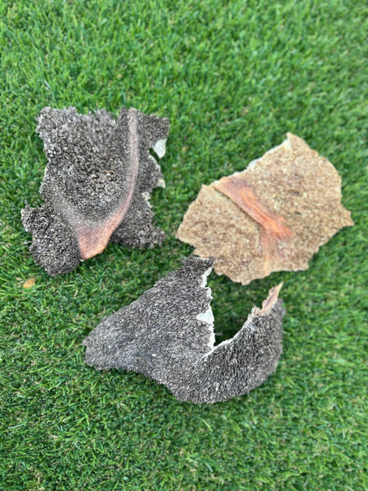Bison Green Tripe