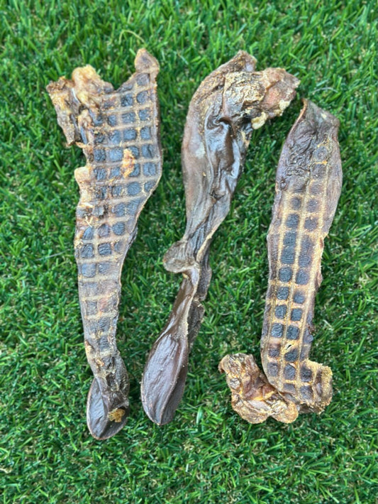 Boar Tongue