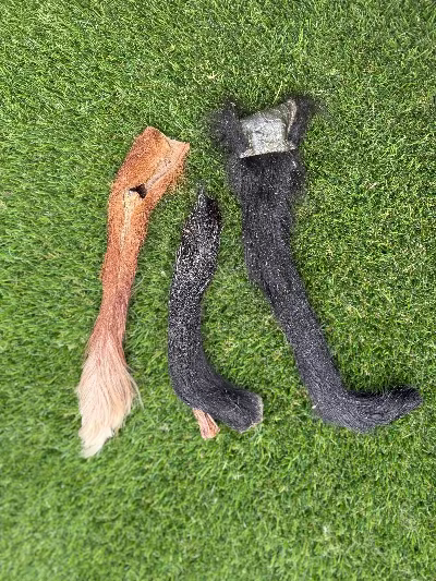 Ox Tail with Fur