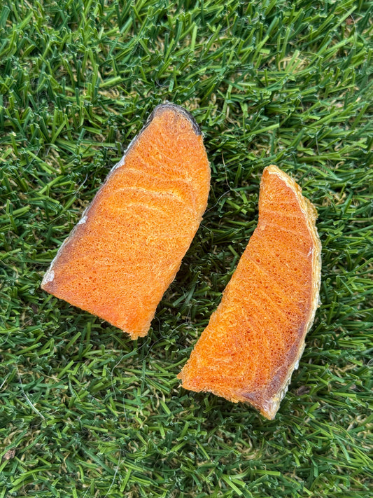 Salmon Filet