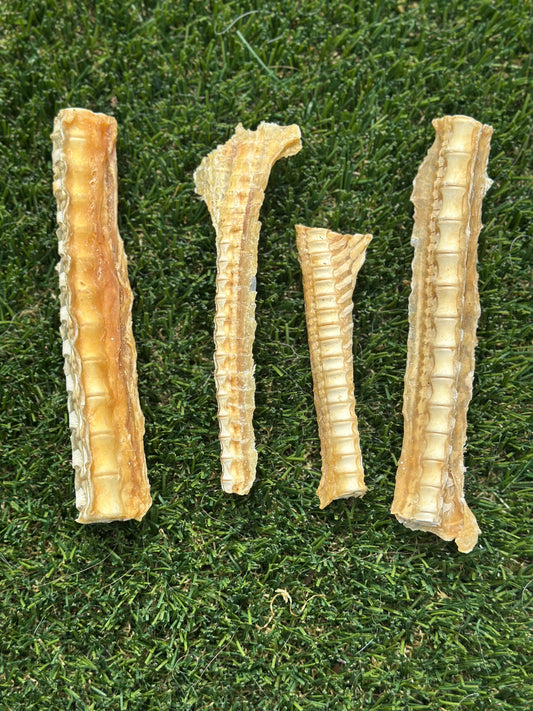 Shark Cartilage