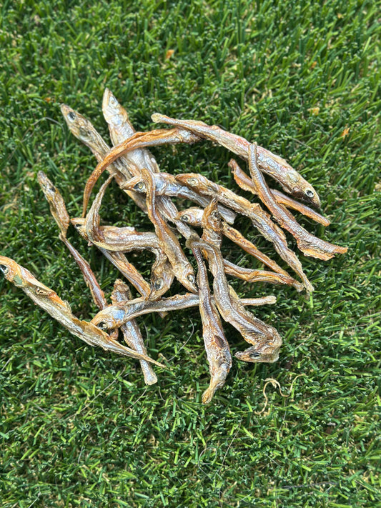 Smelt