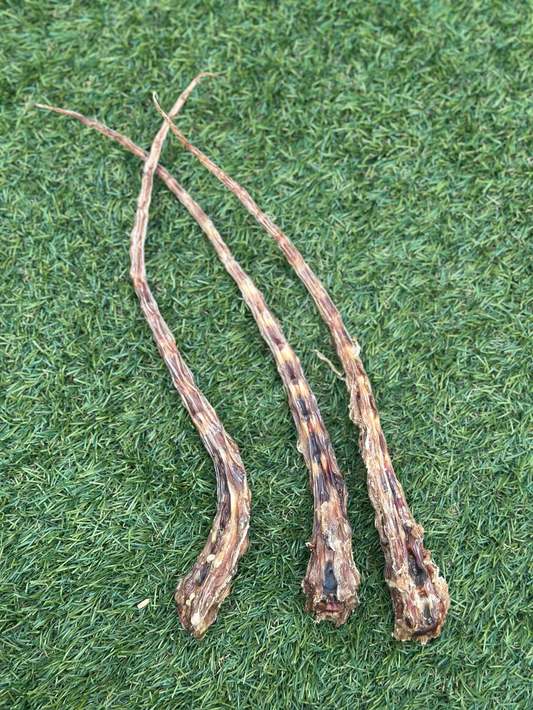 Bison Tail