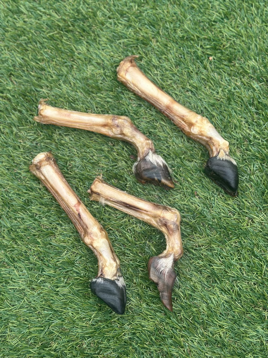 Goat Trotter skinless