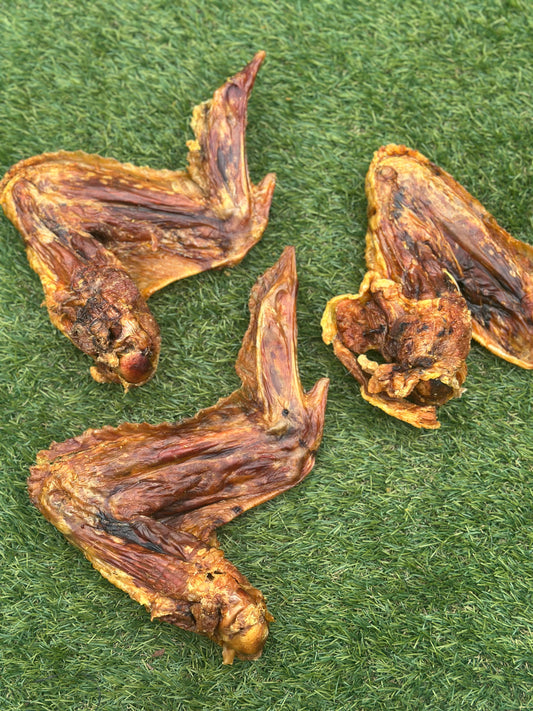 Turkey Wing